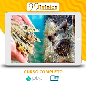 Profissionalizante22