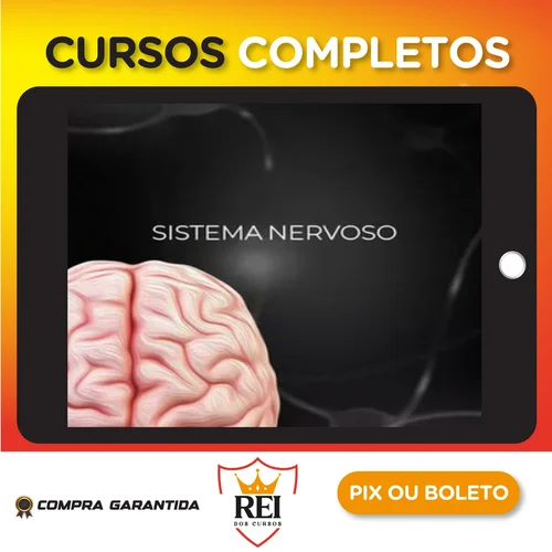 AtuAgosto28.webp Fisiologia do Sistema Nervoso - Fisiologia Didática