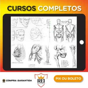 Livros de Desenho - Andrew Loomis