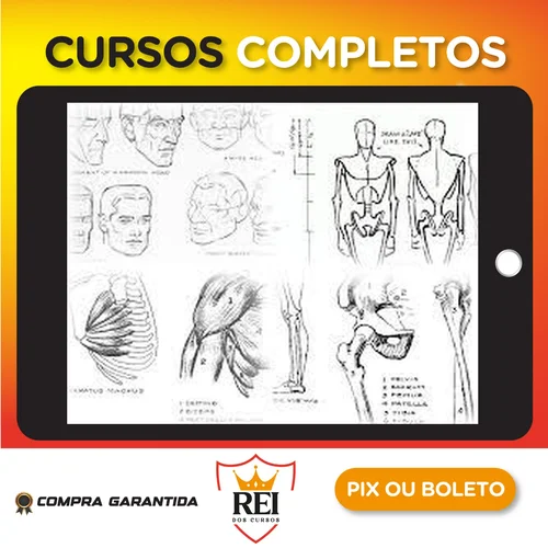 Desenho36.webp Livros de Desenho - Andrew Loomis