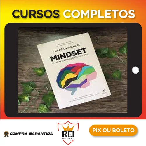 Dsvpessoal193.webp Mindset: A Nova Psicologia do Sucesso - Carol Dweck