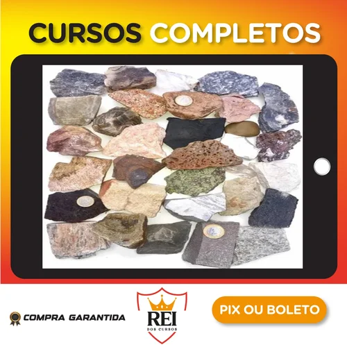 Resumão Rochas e Minerais Guia Visual de Mineralogia - Diane Adam