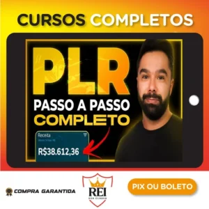 Aprenda Passo a Passo como Lucrar com Produtos PLR - Noemi Nakandakari