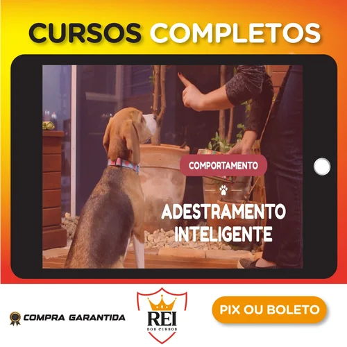 Profissionalizante04.webp Adestramento Inteligente - Alexandre Rossi