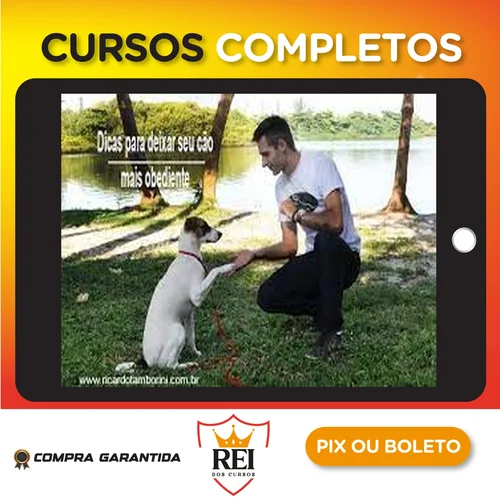 Profissionalizante52.webp Desafio Cão Obediente - Marcelo Bessa