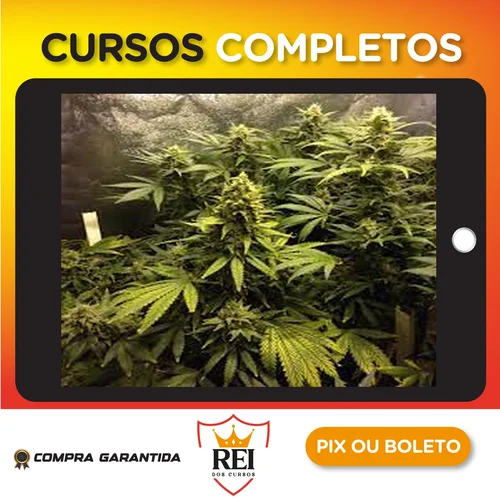 Saude11.webp Cultivo Indoor de Plantas Medicinais - Jean Silva