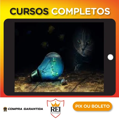 Saude24.webp Lucid Dreaming : Bespoke Training with a Personal approach - Peter Torok