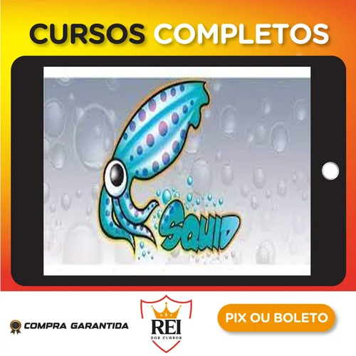 Tecnologia256.webp Squid - Renato Vieira